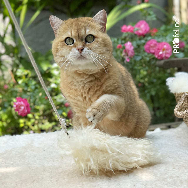 Profeline - Cat Toy Iceland Sheep Refill