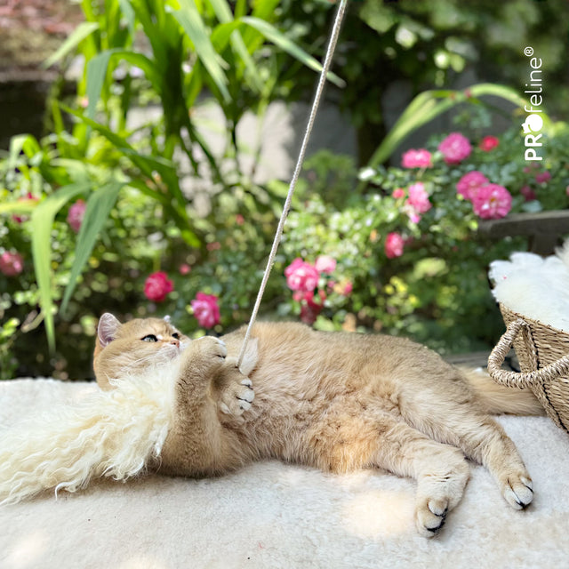 Profeline - Cat Toy Iceland Sheep Refill