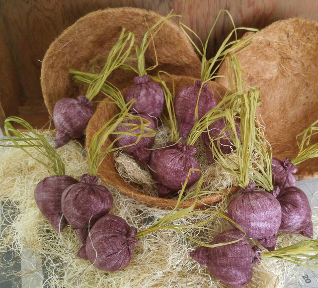 DreamCat CatNip Toy Beet