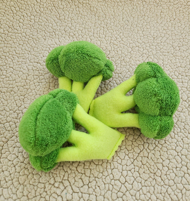 DreamCat CatNip Toy Broccoli