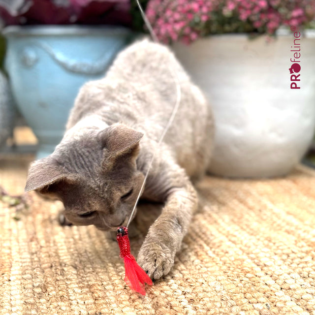 Profeline - Cat Toy Shiny Flutters Refill