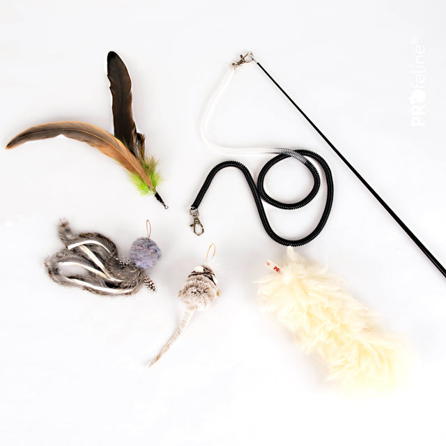 Profeline - Cat Toy Spiral Coil Cat Fishing Rod