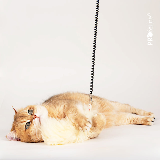Profeline - Cat Toy Spiral Coil Cat Fishing Rod