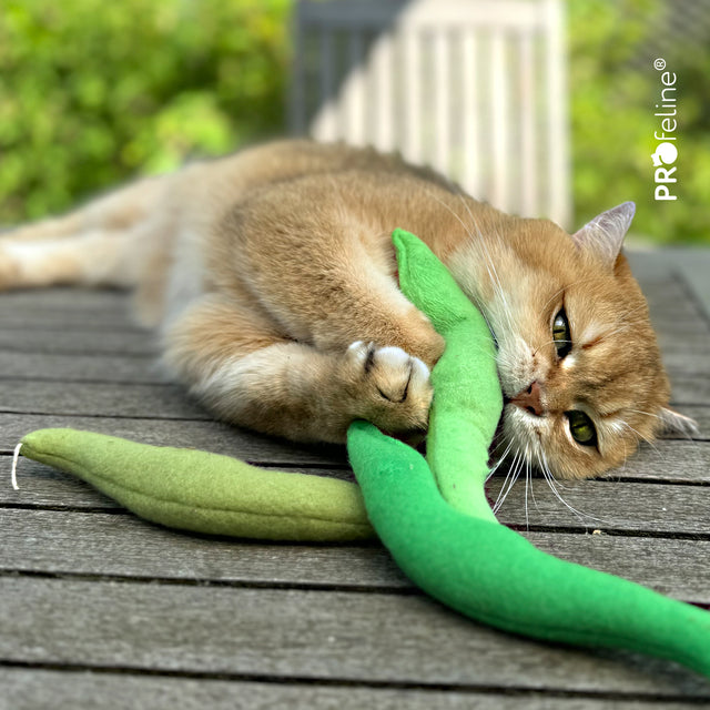 Profeline - DreamCat CatNip Toy Green Beans