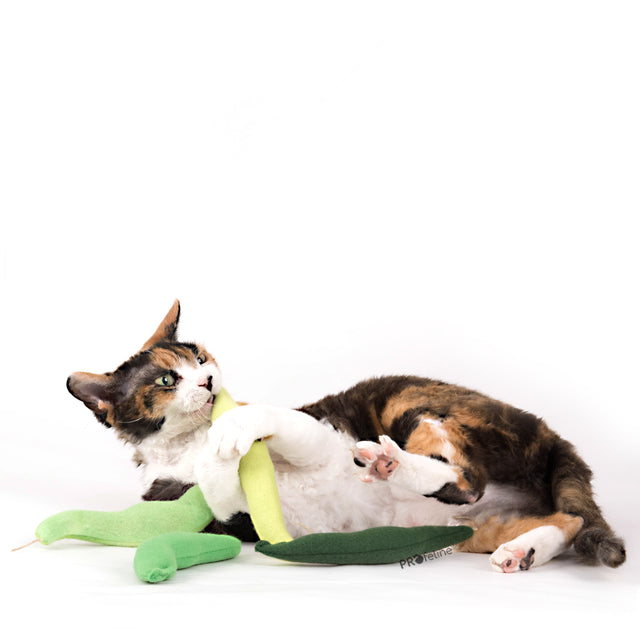 Profeline - DreamCat CatNip Toy Green Beans