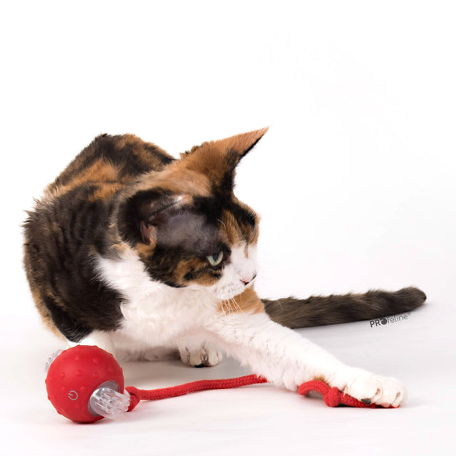 Profeline - Electric Smart Cat Toy