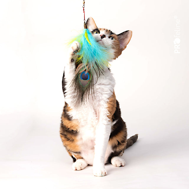 Profeline - Cat Toy Peacock Eye Refill