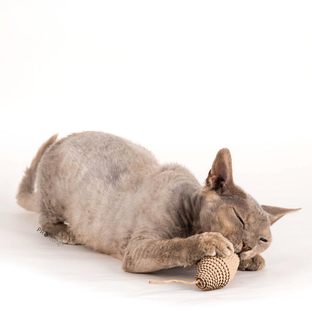 Profeline - Cat Toy Rolling Cardboard Attachment