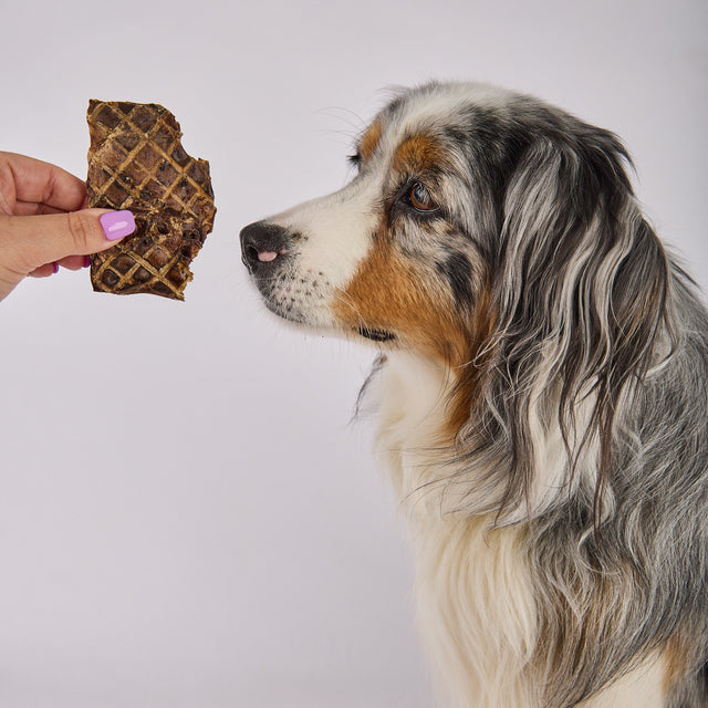 Laila and Me Naturally Dehydrated Lamb Puff Chips Treats