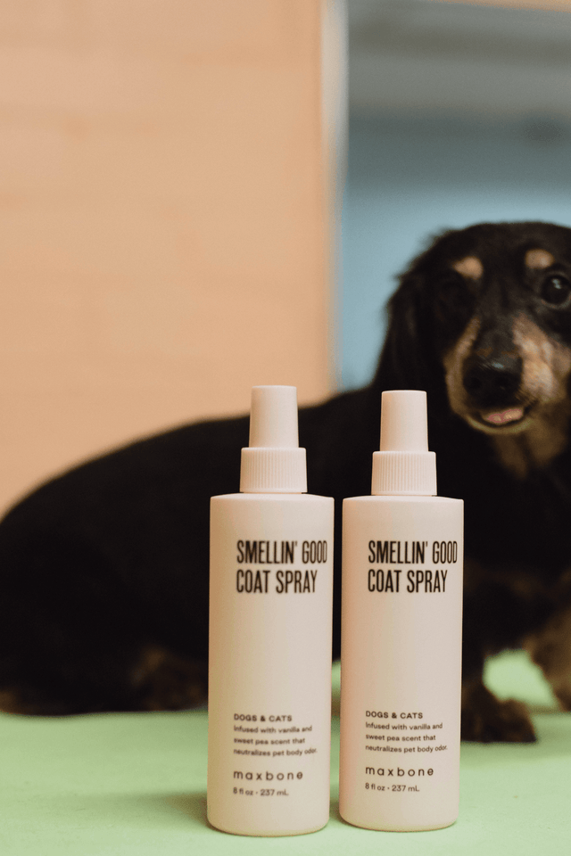 Max Bone Smellin' Good Coat Spray for Dogs and Cats