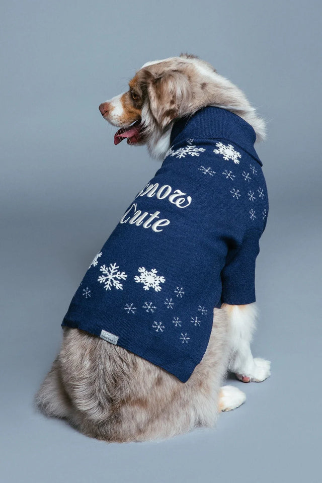 Max Bone Snow Cute Dog Jumper