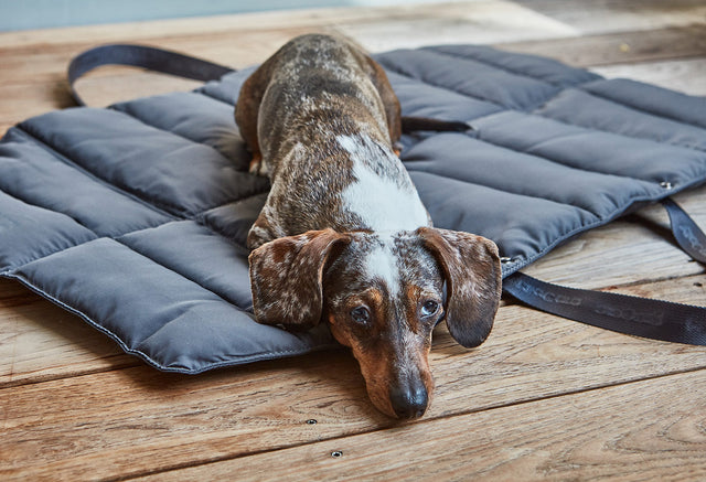 MiaCara Strada Dog Travel Bed