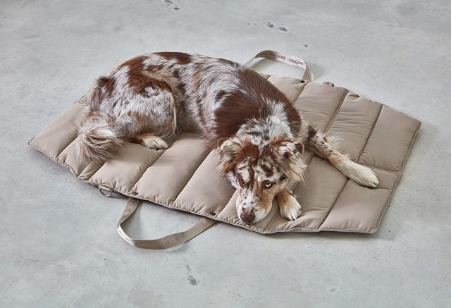 MiaCara Strada Dog Travel Bed