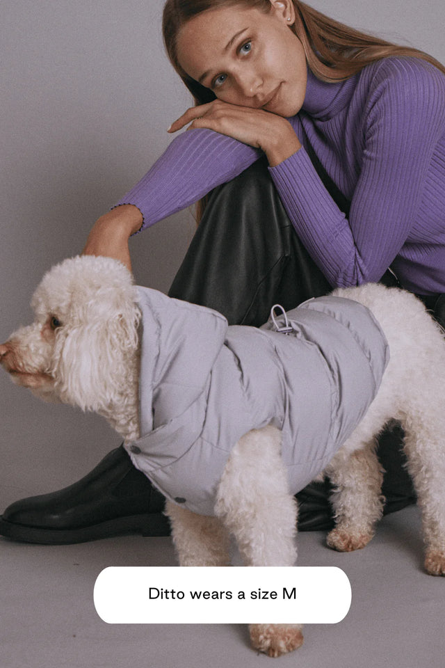 Max Bone Dog Sub Zero Waterproof Jacket - Lavender Haze