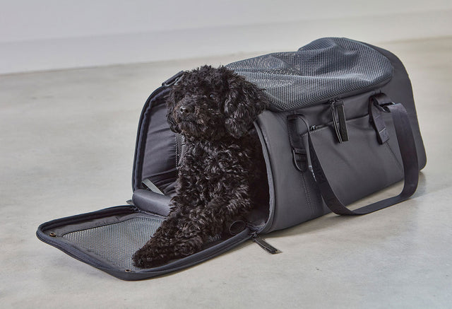 MiaCara Volata Travel Carrier for dogs and cats