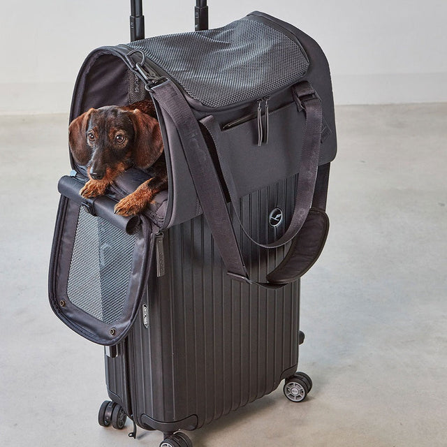 MiaCara Volata Travel Carrier for dogs and cats