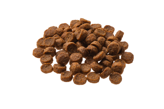 Granatapet Dog dry food Mini Royal junior / puppy