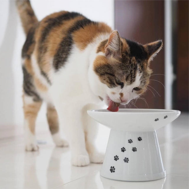 Necoichi Raised Cat Food Bowl Extra Wide