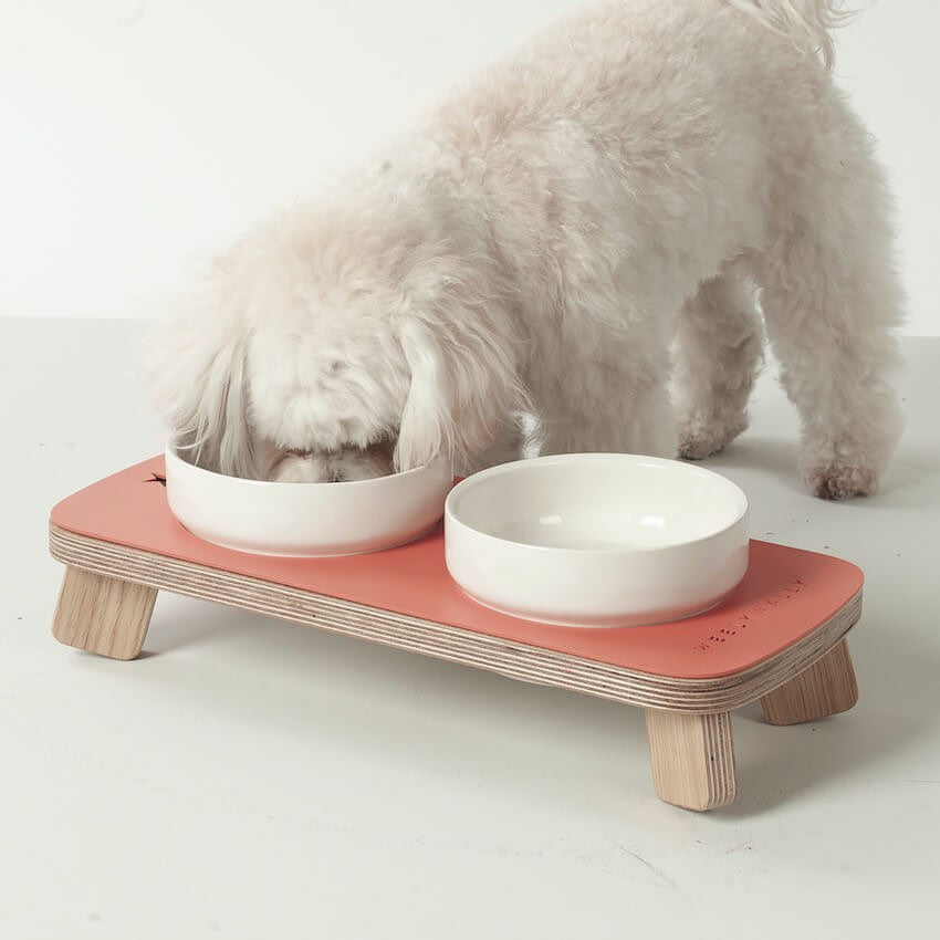 Ceramic dog hot sale food container