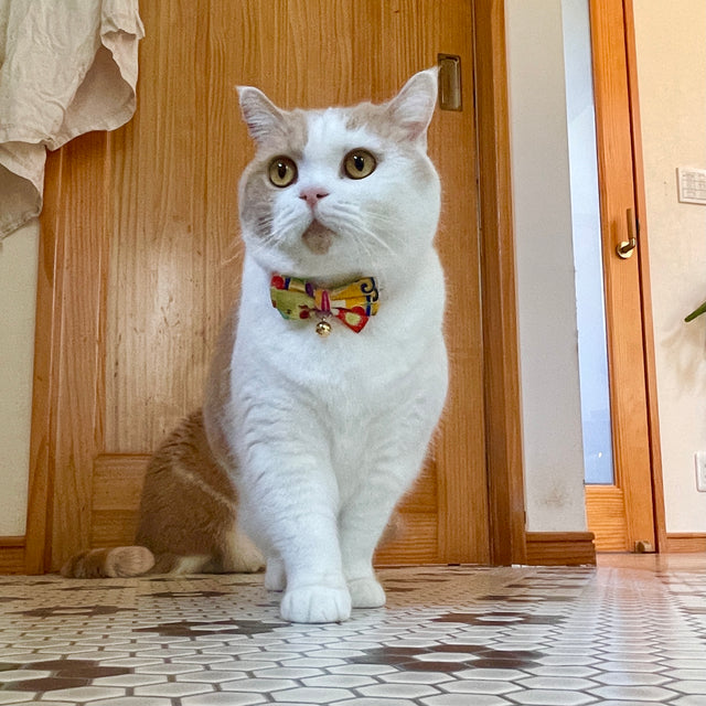 Necoichi Yukata Bow Tie Cat Collar Yellow