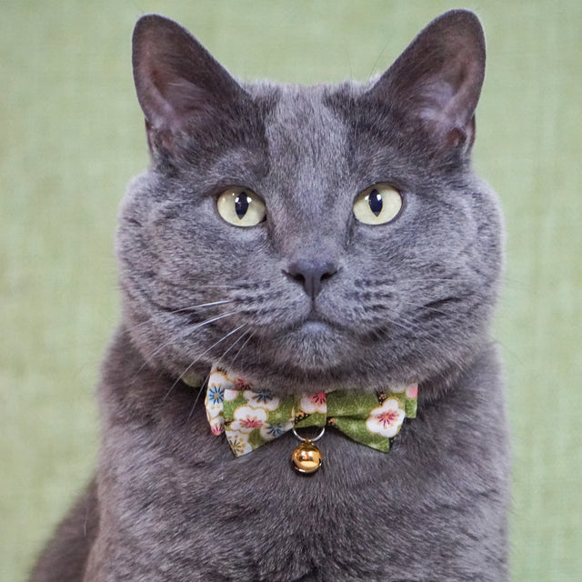 Necoichi Hanami Bow Tie Cat Collar Green