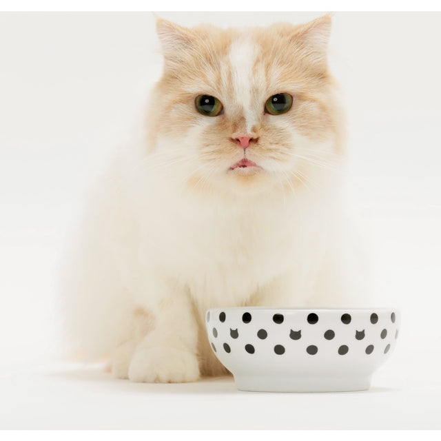 Necoichi Anti-Spill Cat Food Bowl (Cat Dots)