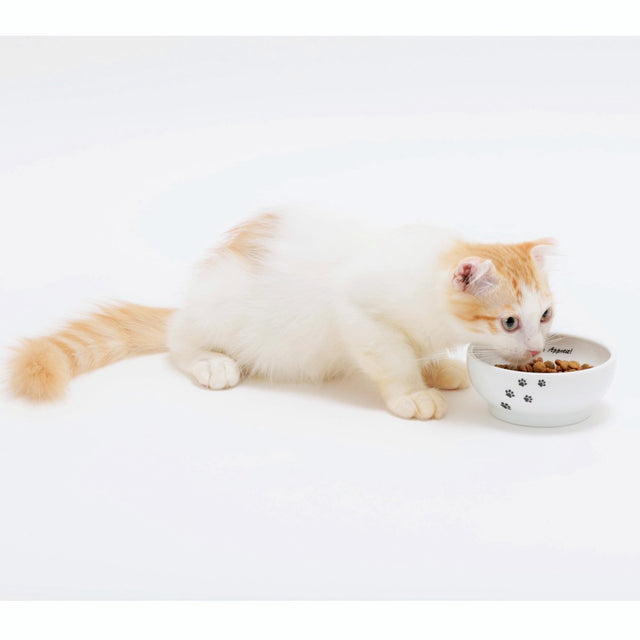 Necoichi Anti-Spill Cat Food Bowl