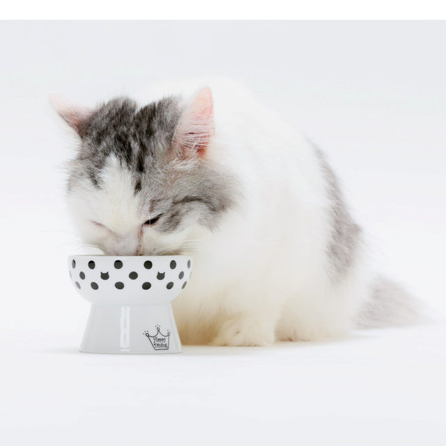 Necoichi Raised Cat Food Bowl Mini (Cat Dots)