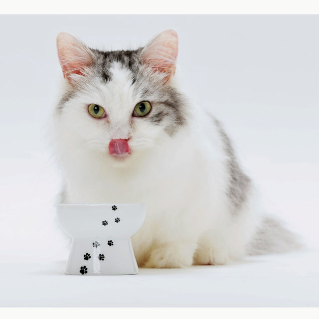 Necoichi Raised Cat Food Bowl Mini