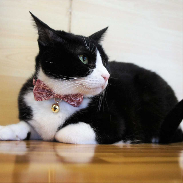 Necoichi Kiku Ribbon Bow Tie Cat Collar Red