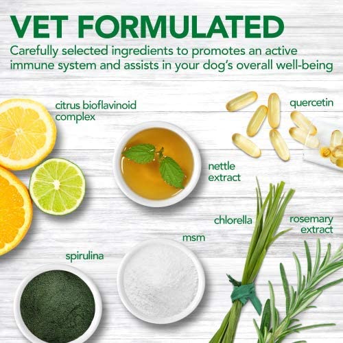 Vet's Best Immune Support 60 Tablets for dogs