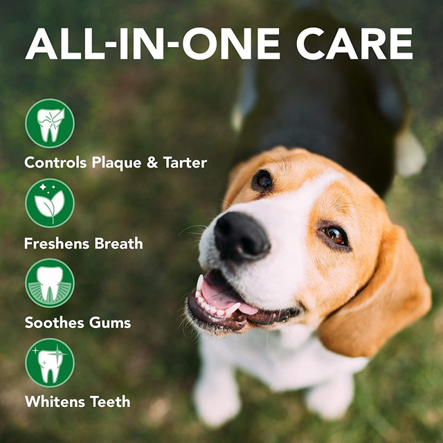 Vet's Best Dental Gel Toothpaste for Dogs 100g