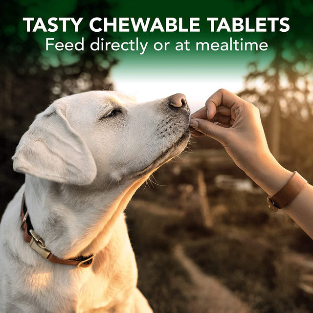 Vet's Best Immune Support 60 Tablets for dogs