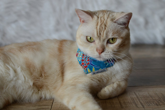 Necoichi Bandana Cat Collar With Air Tag Pocket (Yukata Blue)