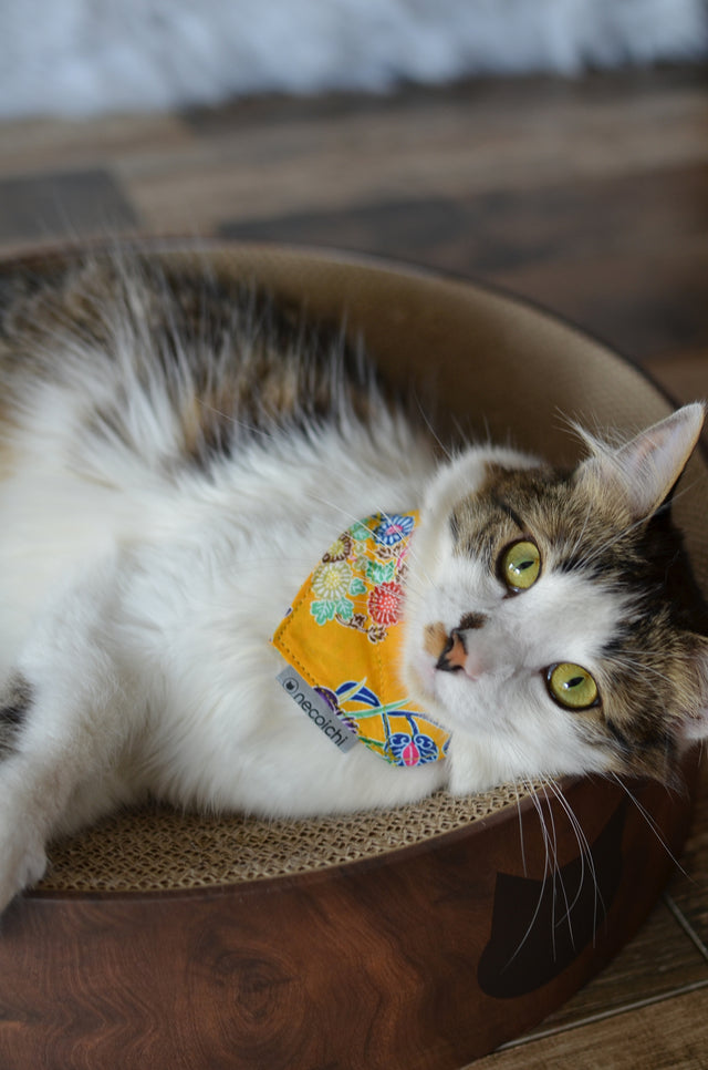 Necoichi Bandana Cat Collar With Air Tag Pocket (Yukata Yellow)