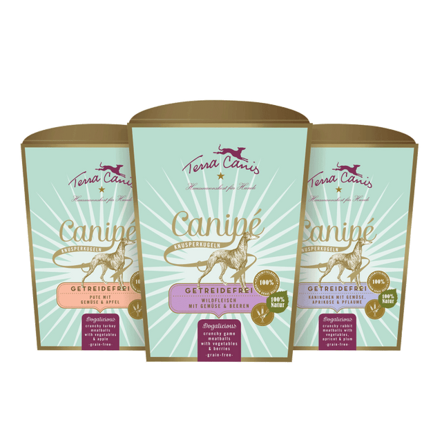 Terra Canis GRAIN-FREE CANIPÉ Crispy Balls Dog Treats