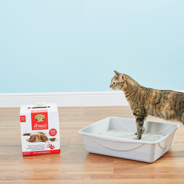 Dr. Elsey's Precious Cat Attract Clumping Clay Cat Litter