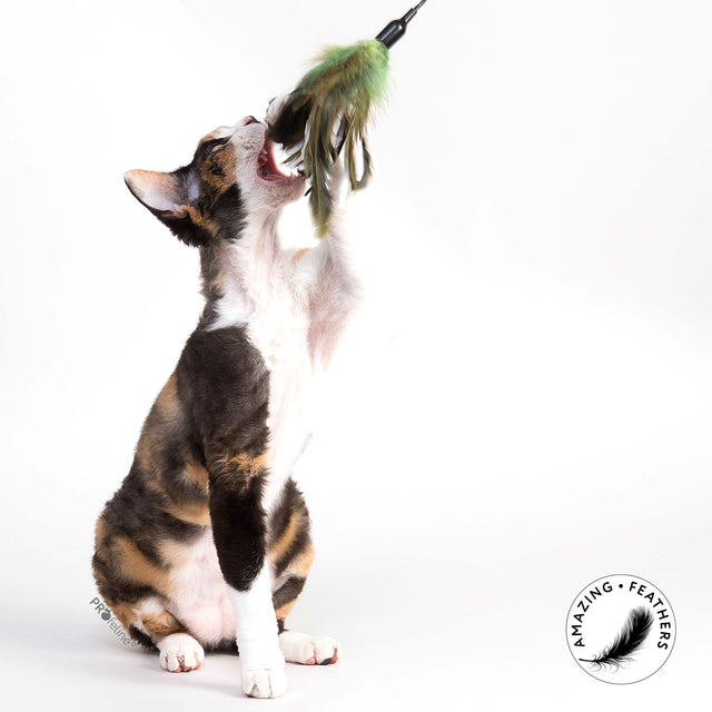Profeline - Cat Toy Cat Dangler - Crinkle Dancer