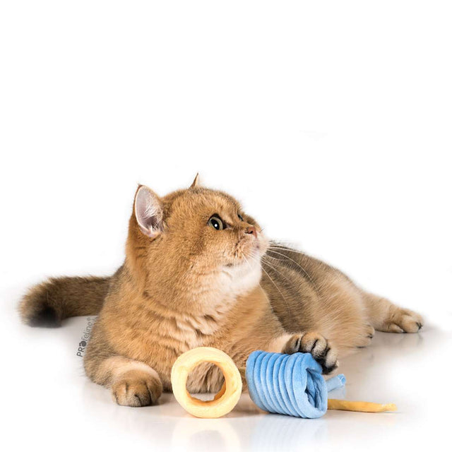 Profeline - Big Soft Spring Cat Toy