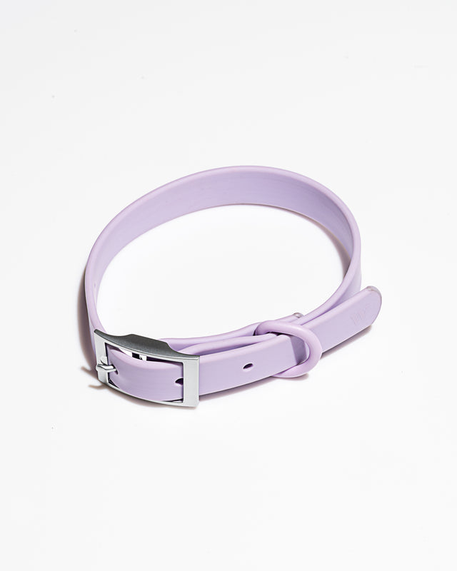 Wild One Dog Collar - Lilac
