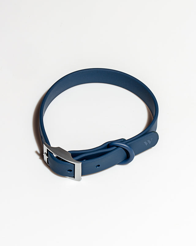 Wild One Dog Collar - Blue