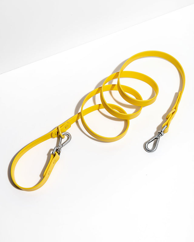 Wild One Dog Leash - Butter