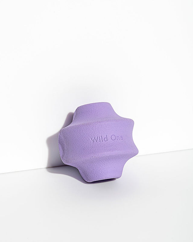 Wild One Dog Toy Twist Toss - Lilac