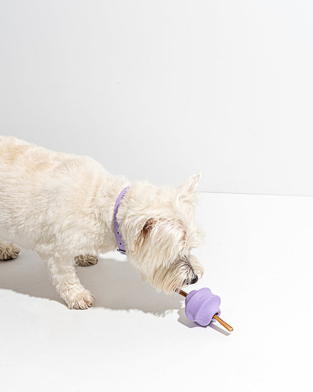 Wild One Dog Toy Twist Toss - Lilac