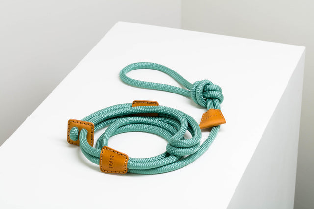 Boo Oh Ray Dog Harness - Mint Green