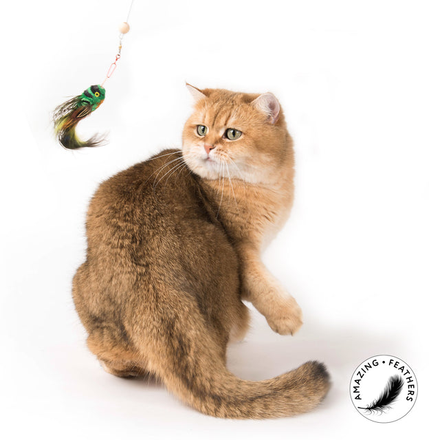 Profeline - Cat Toy FlyingNymph Attachment