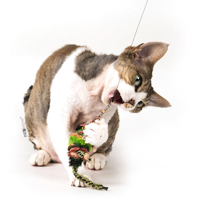 Profeline - Cat Toy Chameleon Attachment