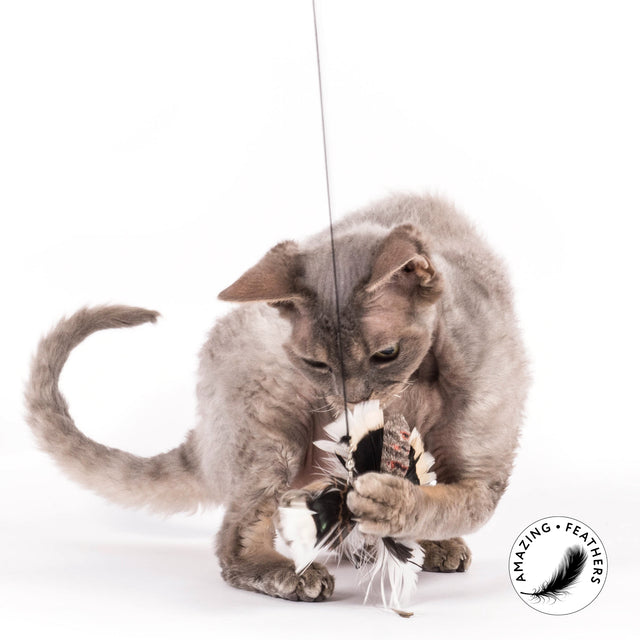 Profeline - Cat Toy Big FlutterMoth Refill / Anhänger
