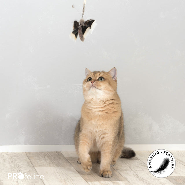 Profeline - Cat Toy Big FlutterMoth Refill / Anhänger