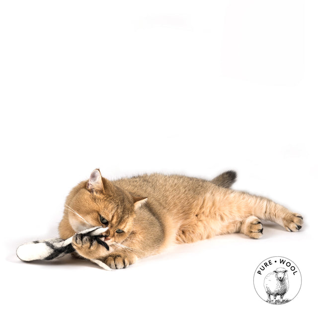Profeline - Cat Toy DonutComet